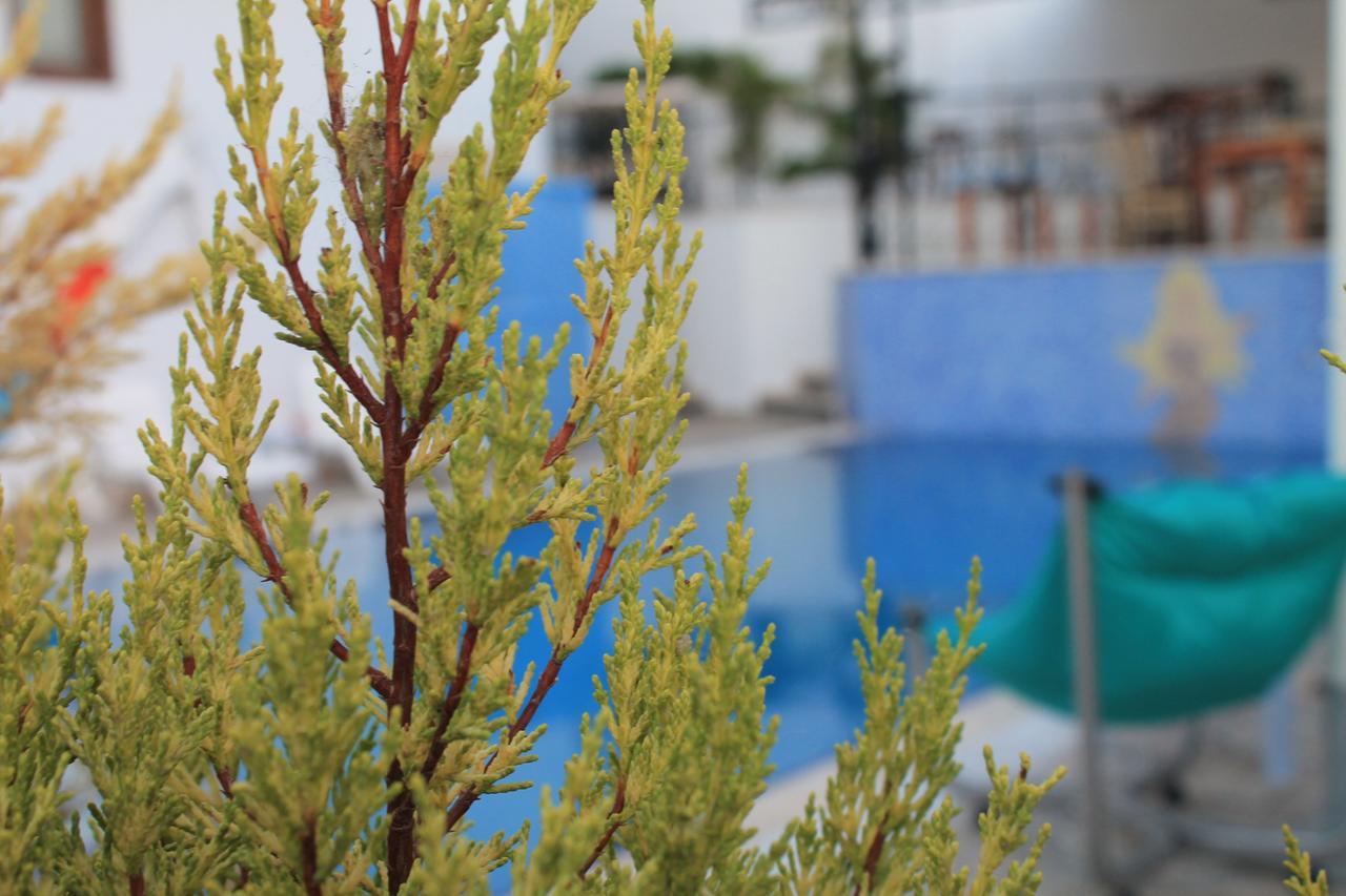 Cunda Dalyan Hotel *