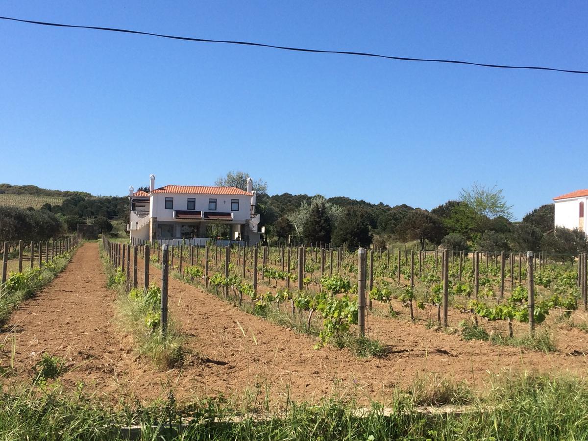 Casa Mini Bozcaada * Bozcaada