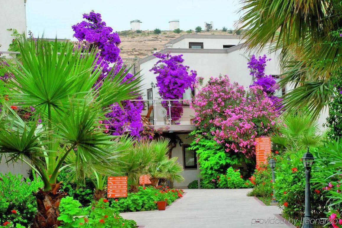 Anadolu Bodrum Hotel 4*