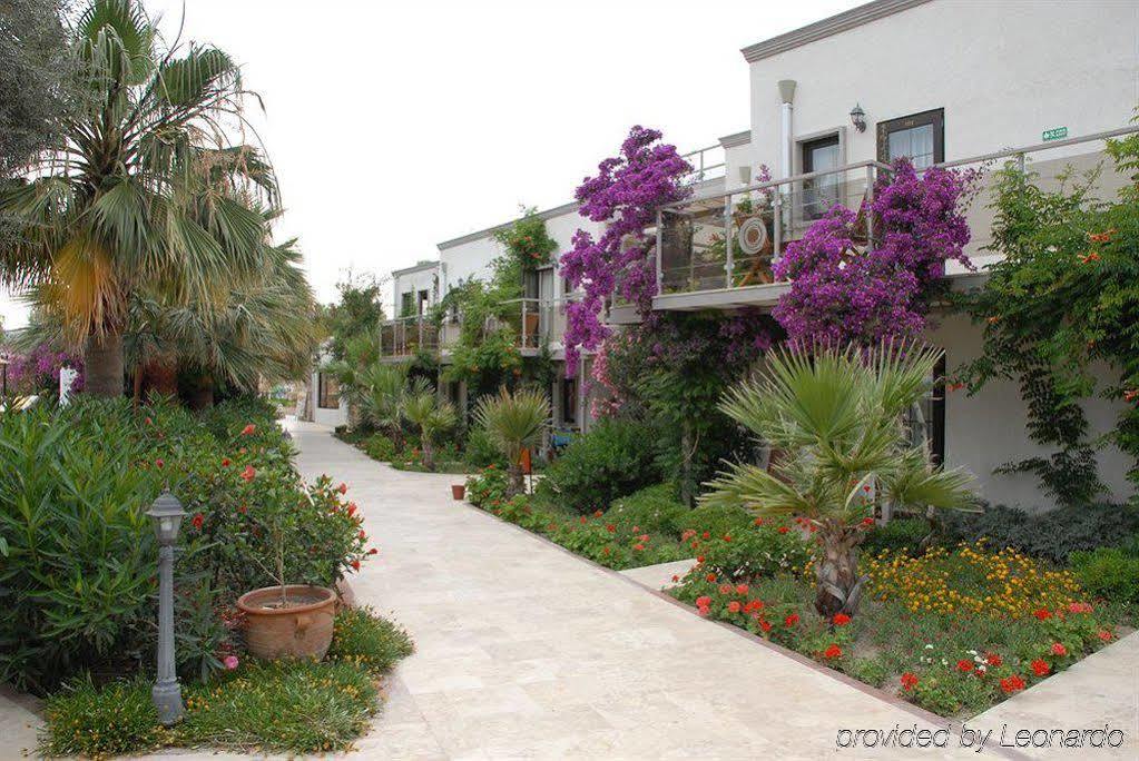 Anadolu Bodrum Gumbet