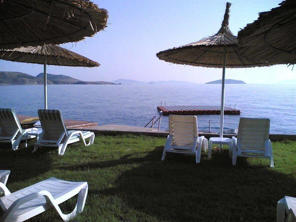 Arion Hotel