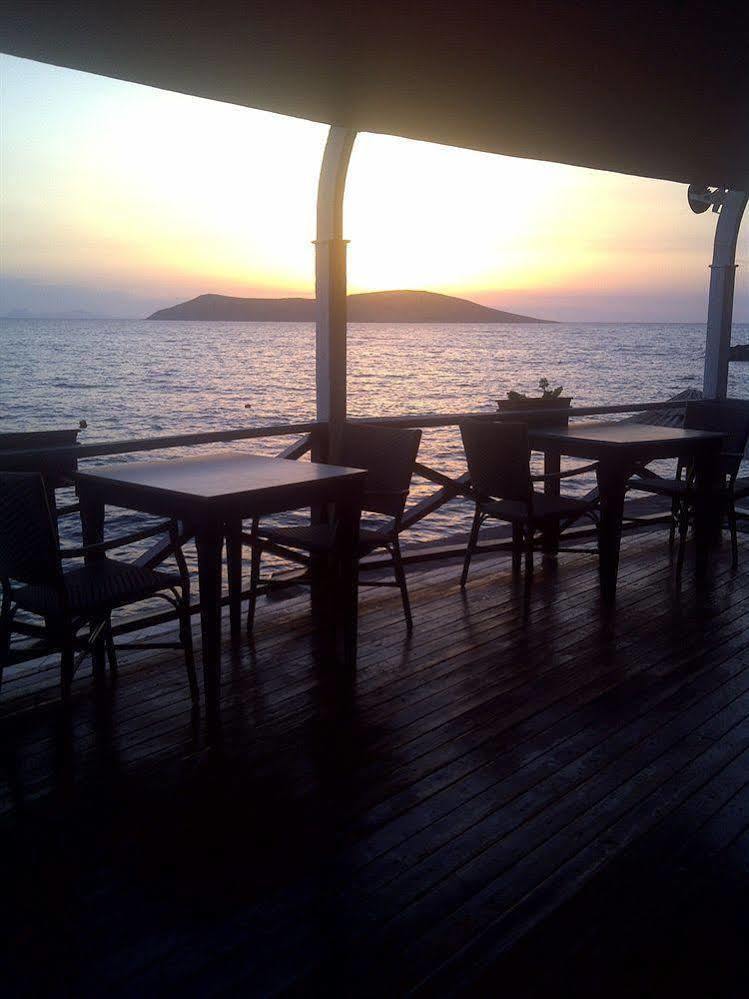 Arion Hotel 3*