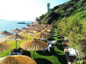 Hotel Arion 3*