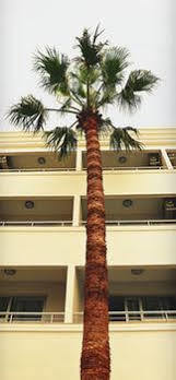 Bed & Breakfast Banu Luxury Marmaris