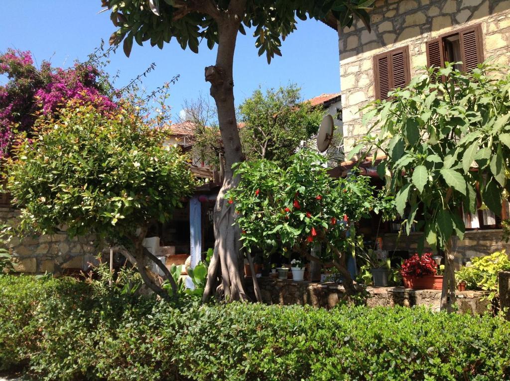 Guest house Yuekser 3*