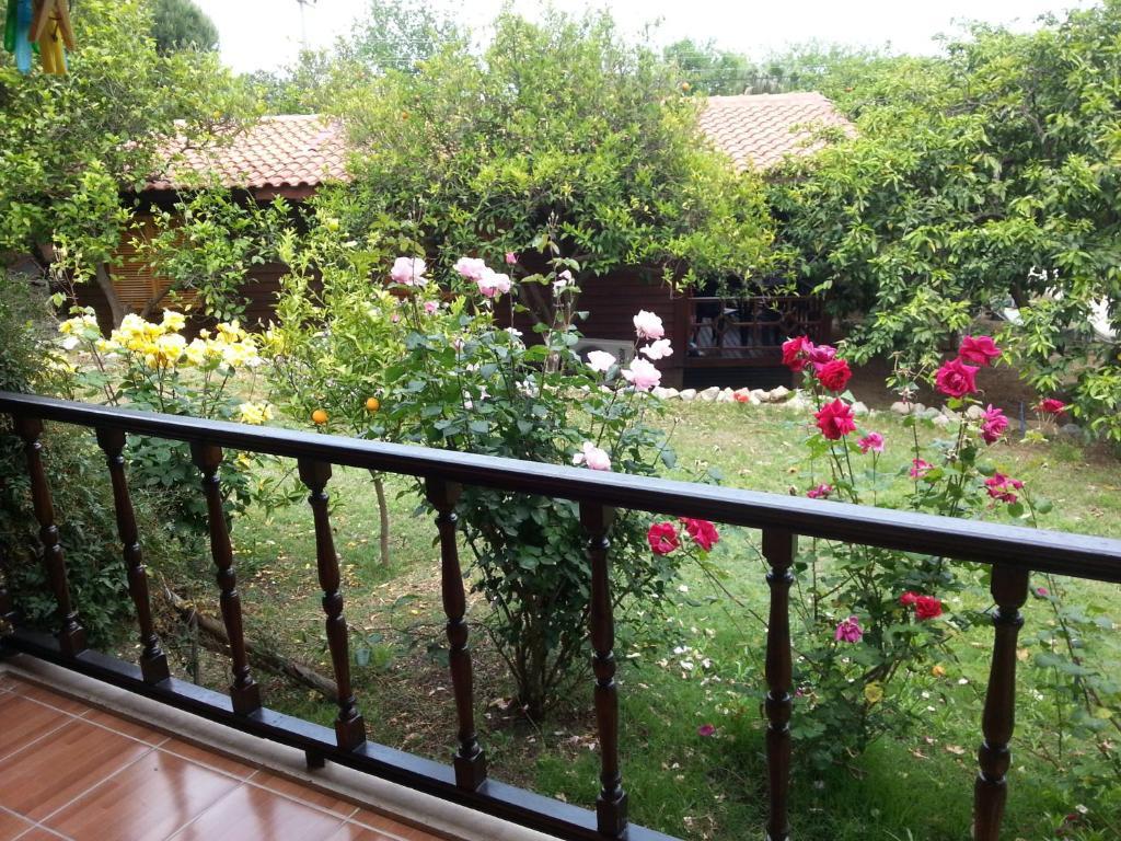 Hotel Cirali Hotel