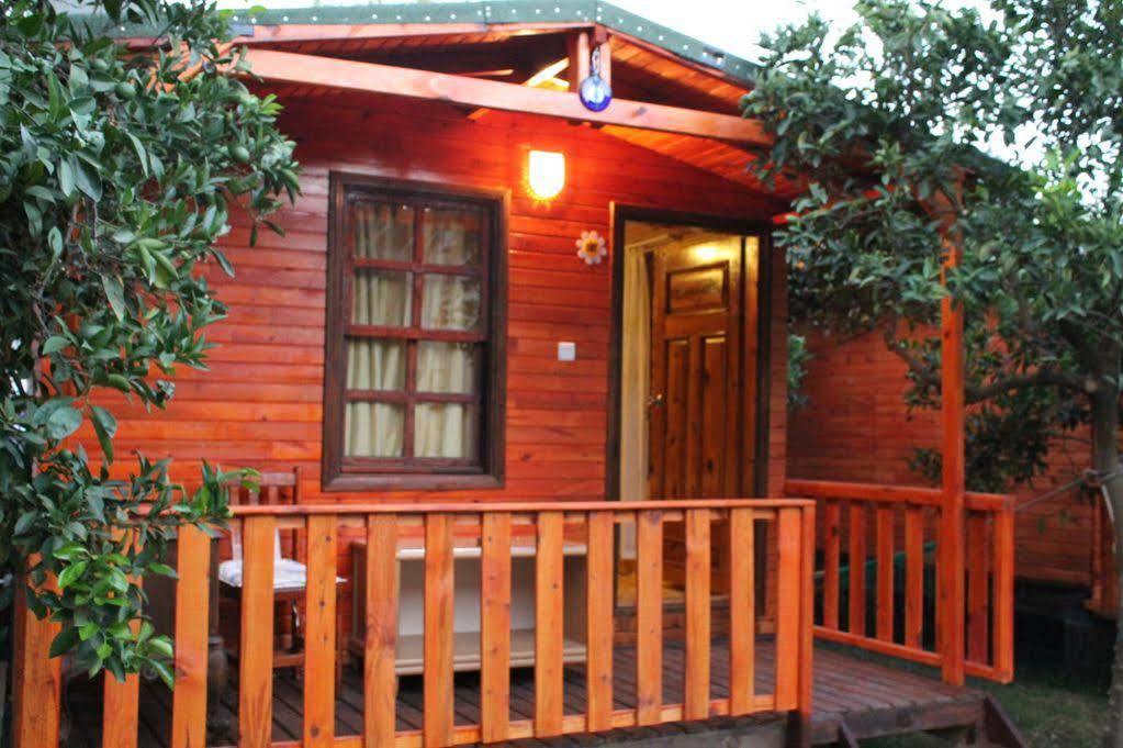 No:1281 Boutique Guest house *