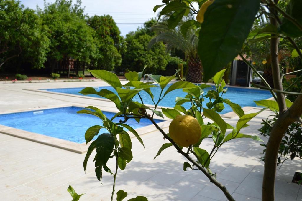 Hotel Cirali Hotel 3*