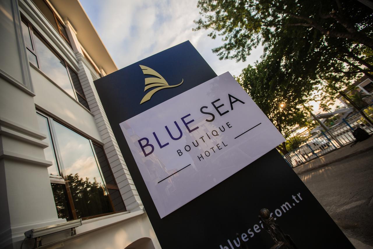 Blue Sea 2*