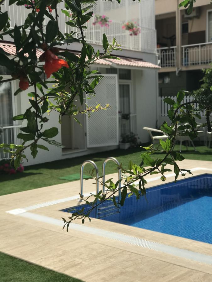 Grandma's Garden