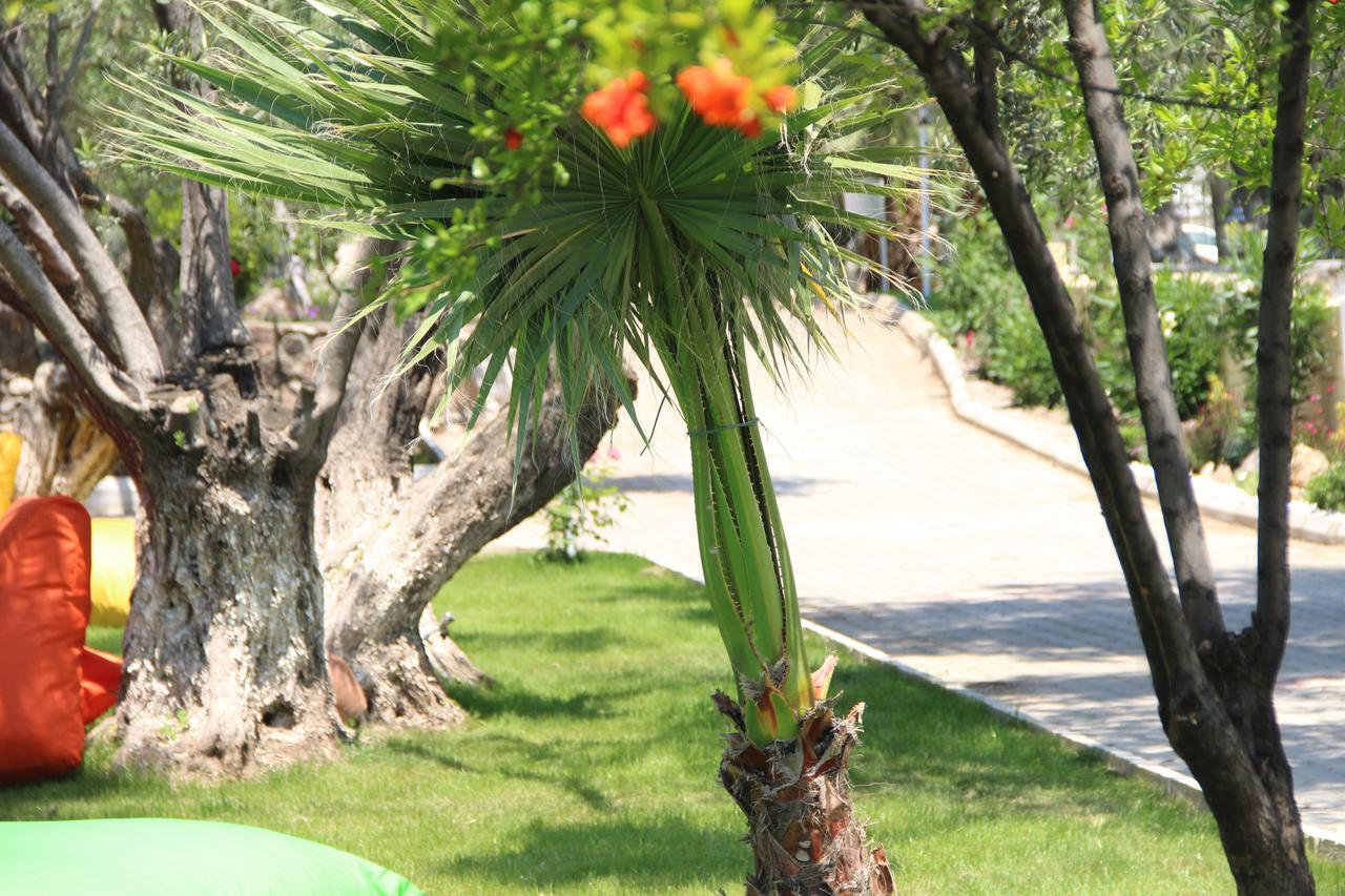 Kayalar Blue Hotel *