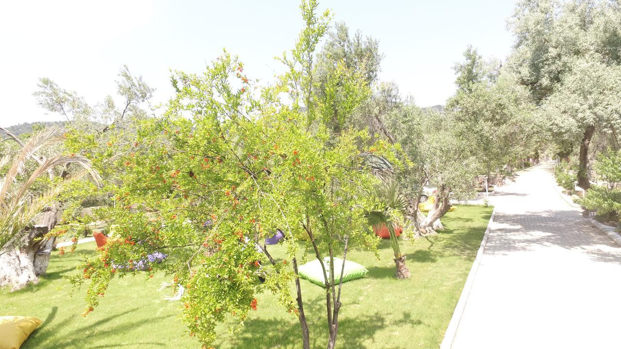 Kayalar Blue Sazli