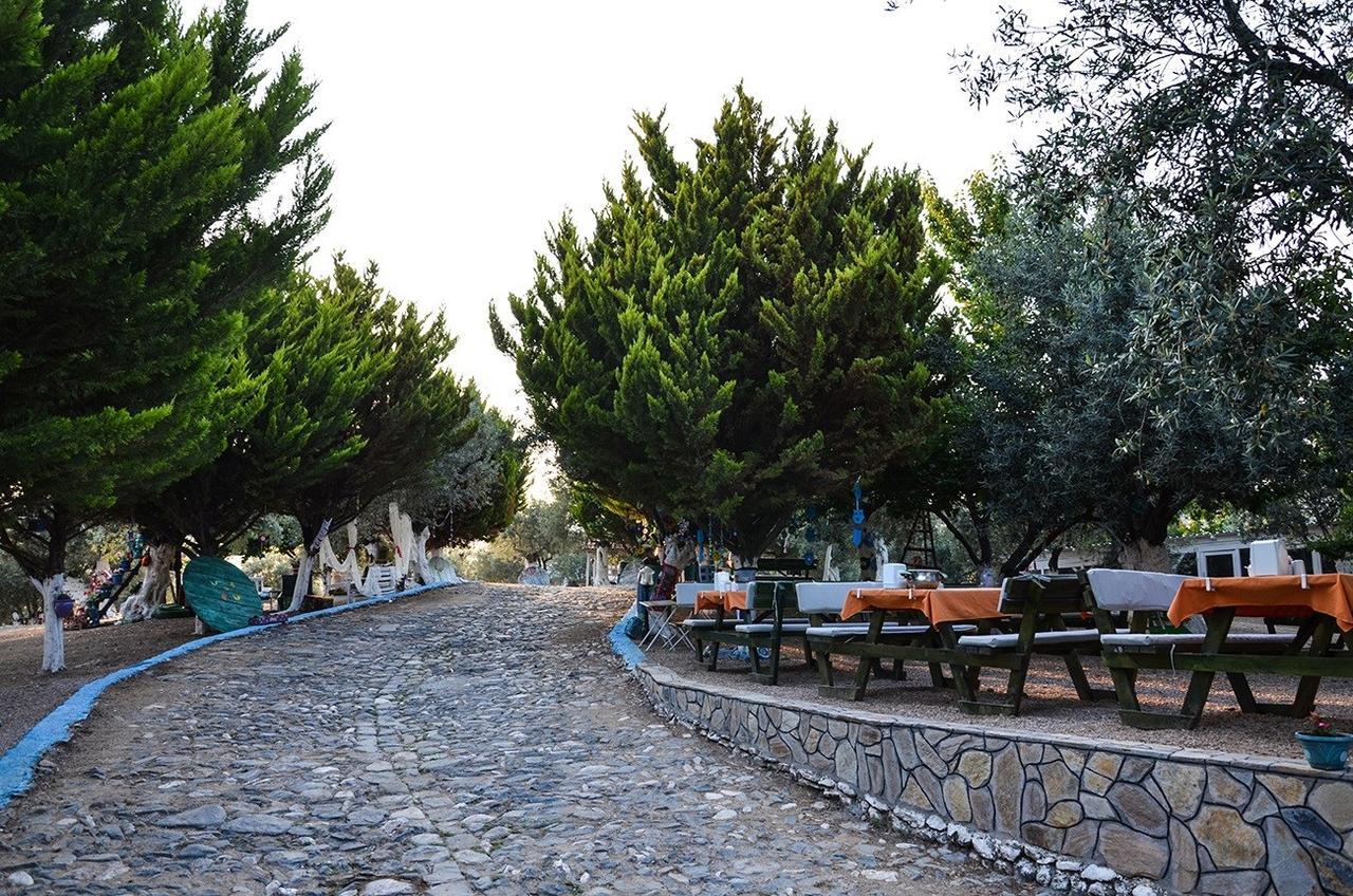 Kaymak Tepesi Tatil Evi * Kucukkuyu