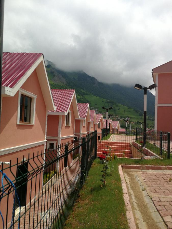 Hamsikoy Hotel Resort *