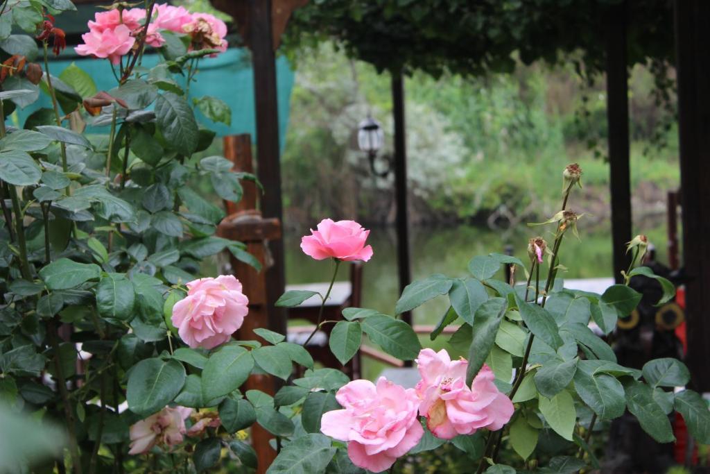 Elrio Country house