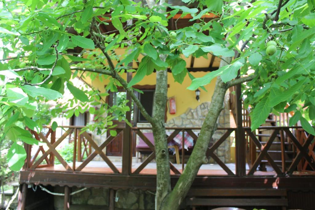 Elrio Country house