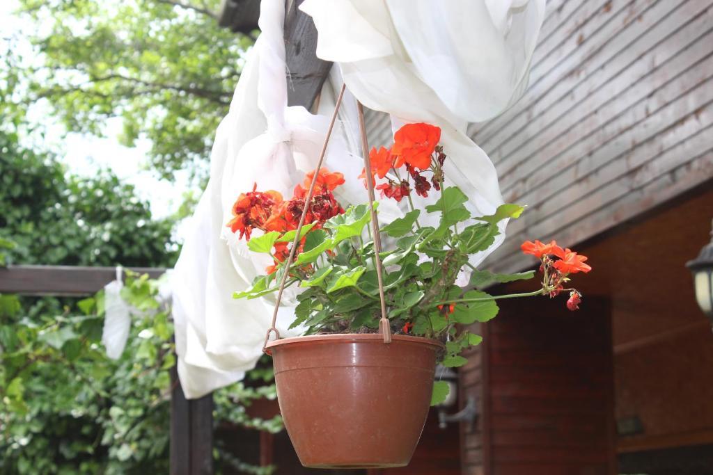 Country house Elrio *