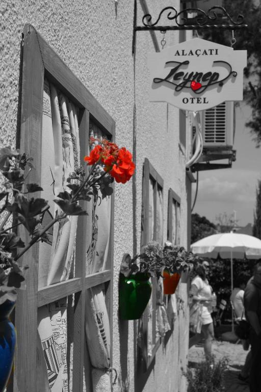 Guest house Zeynep