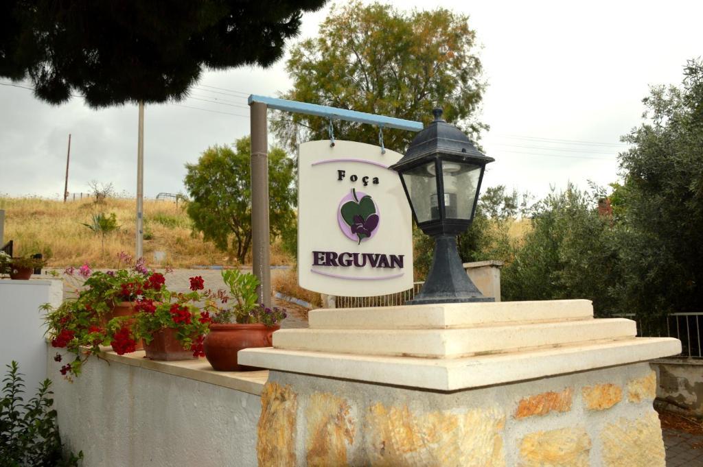 Erguvan