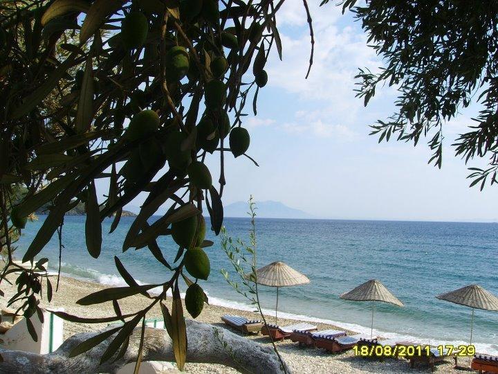 Hostel Ege Bodrum