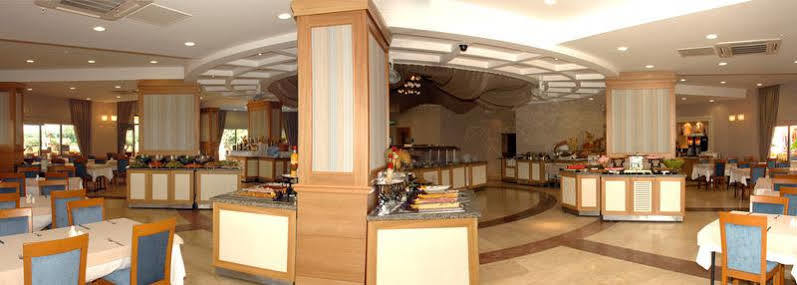 Palmeras Payallar