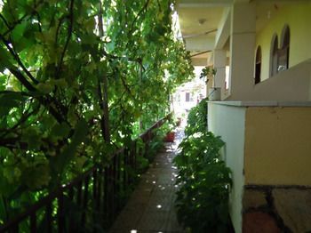 Aristo Hostel Assos