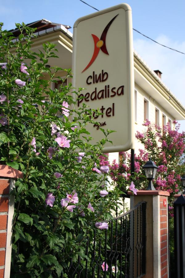 Pedalisa * Agva (Marmara)