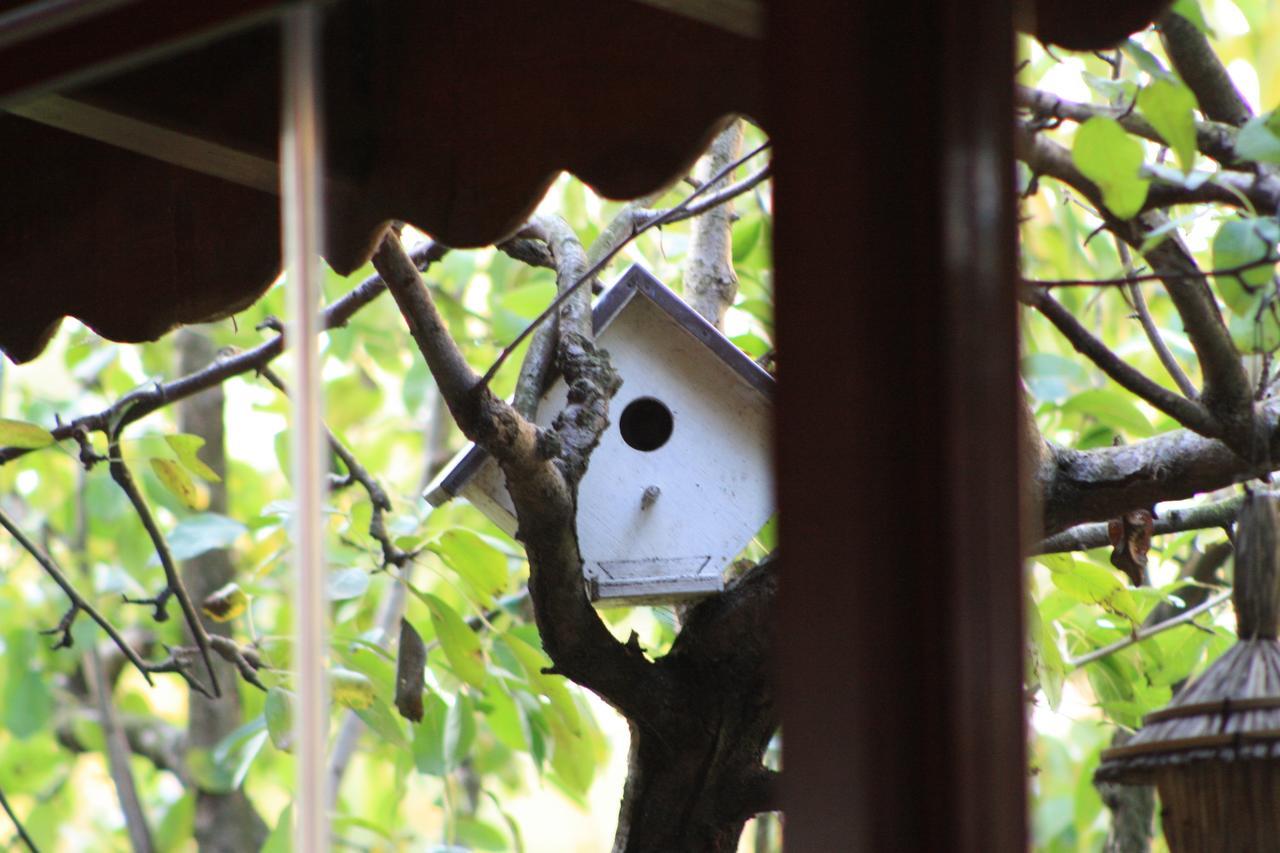 Pedalisa Bed & Breakfast Agva (Marmara)