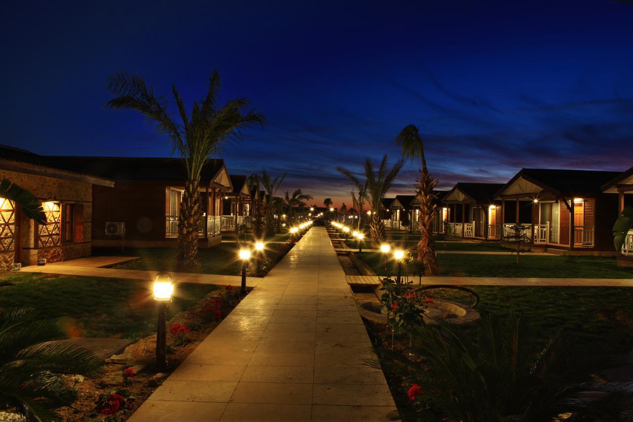 Sedir Park - * Kargicak (Alanya)