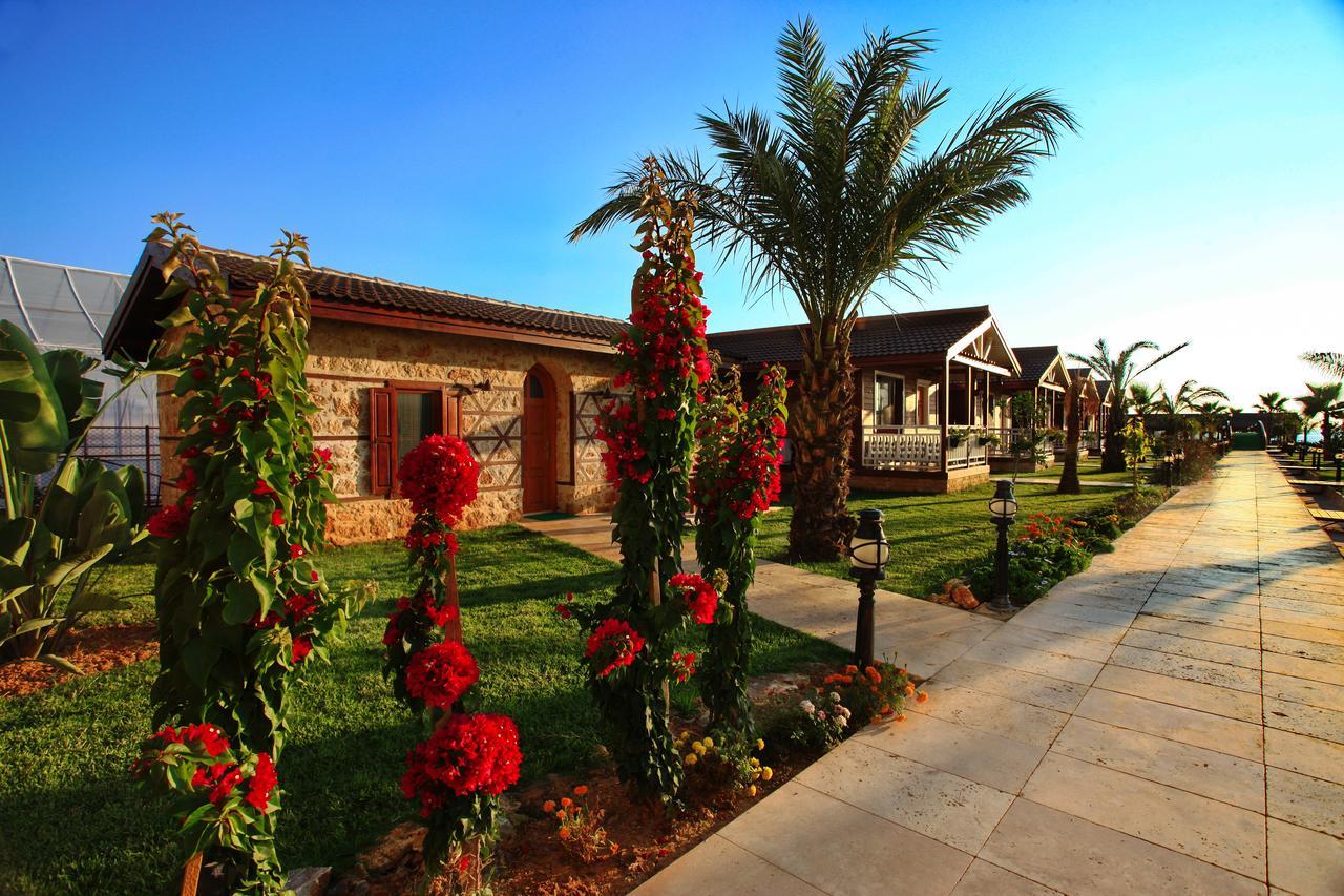 Sedir Park - * Kargicak (Alanya)