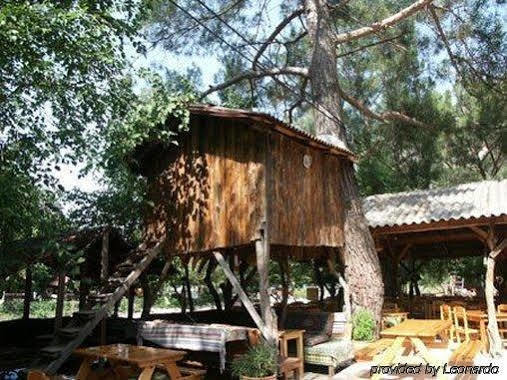 Holiday park Turkmen Tree 3*