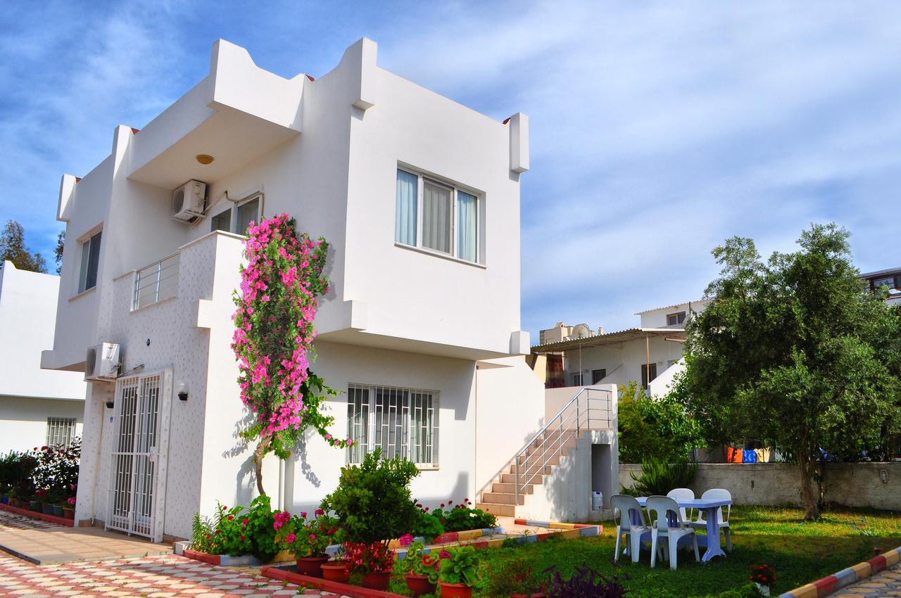 Lavinya Maison Bodrum