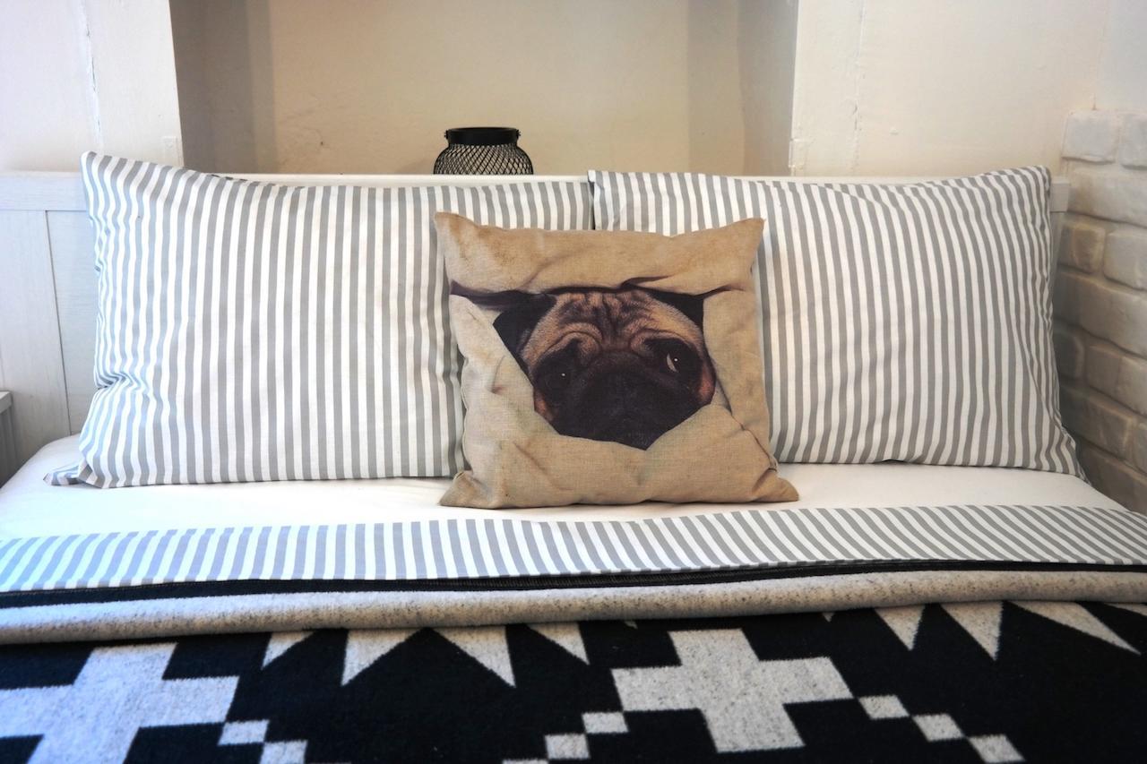 Pug Holiday home Alacati