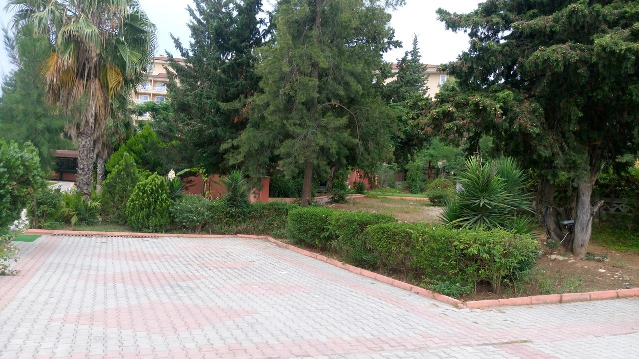 Beldiana 4*