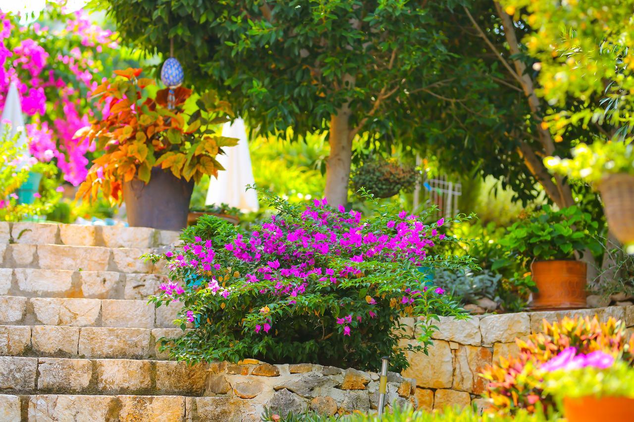 Ege Villa Kas