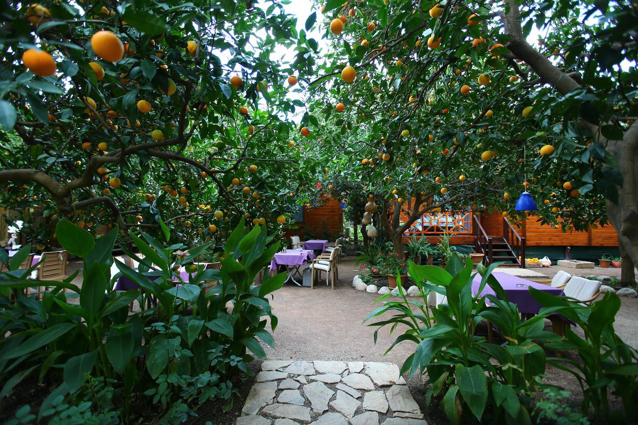 Bahce Villa Cirali