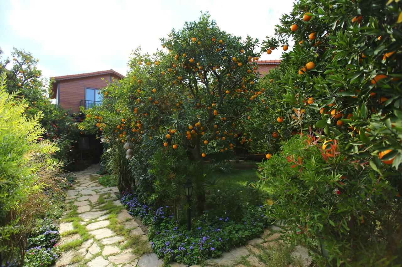 Bahce Villa Cirali