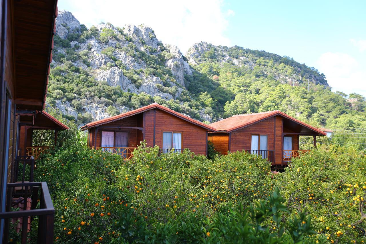 Bahce Villa