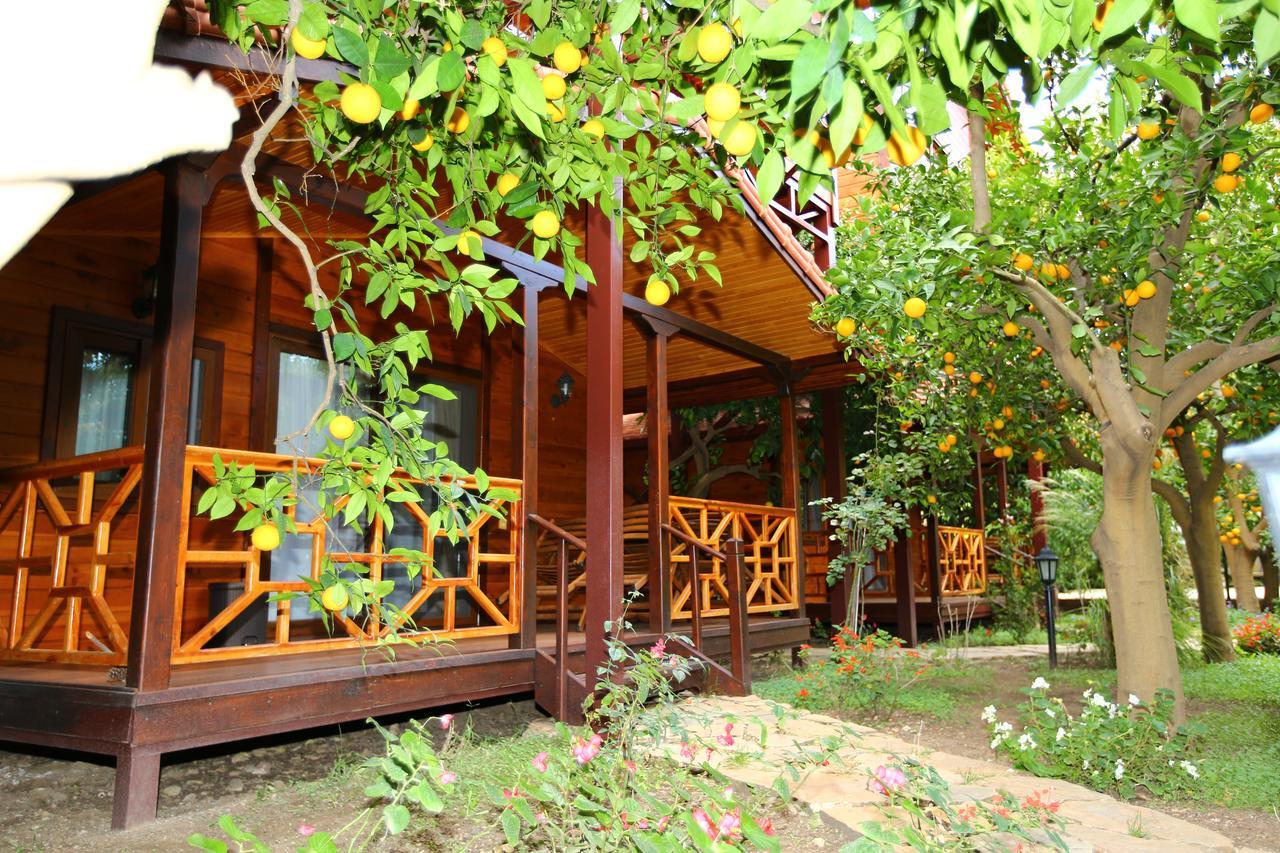 Villa Bahce *