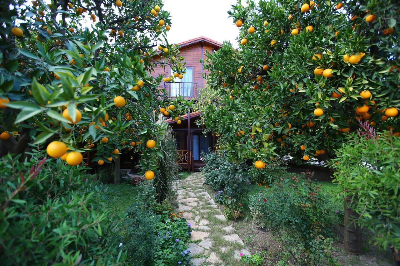 Bahce Villa *