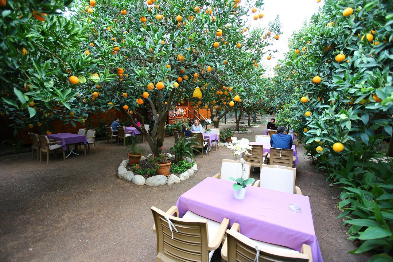 Villa Bahce *
