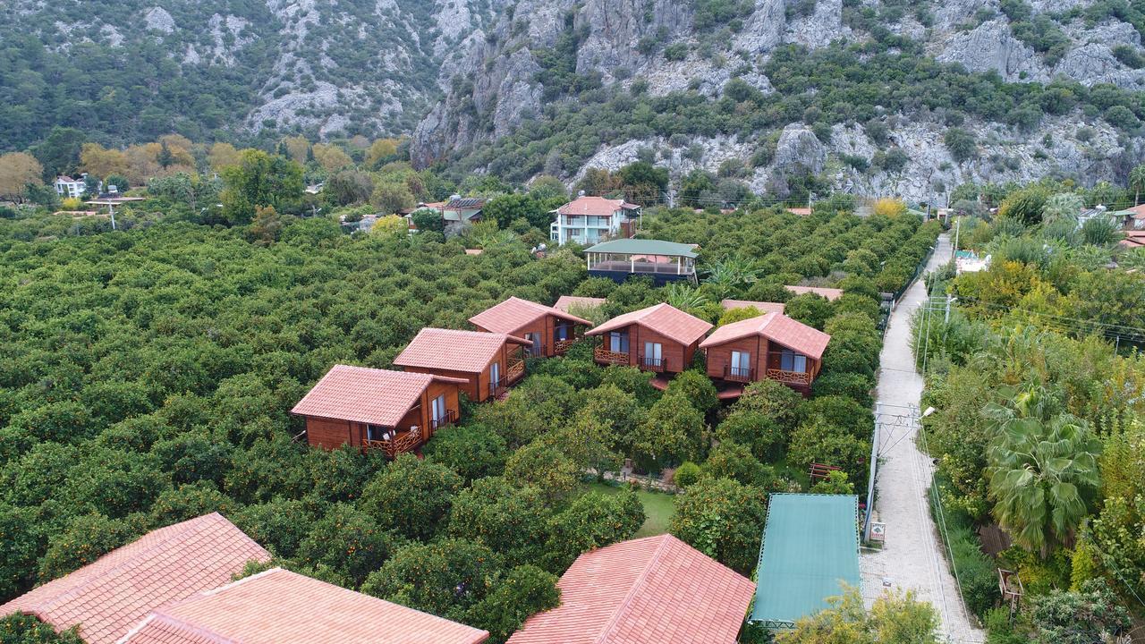 Bahce Villa Cirali