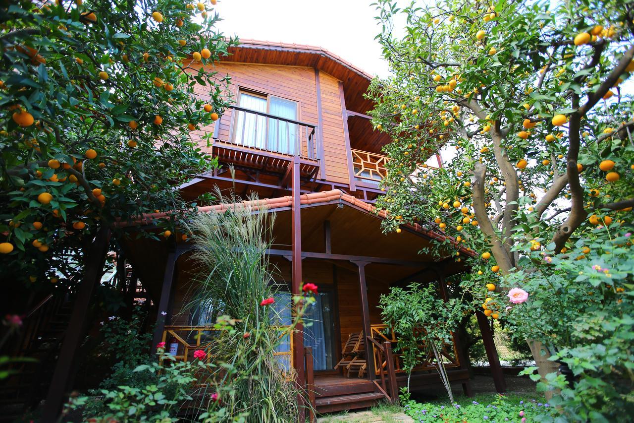Bahce Villa