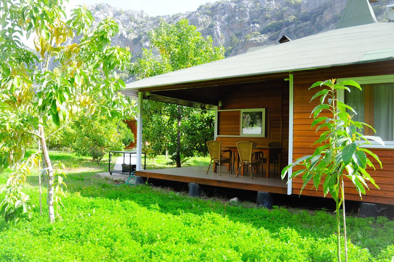 Arcadia Villa