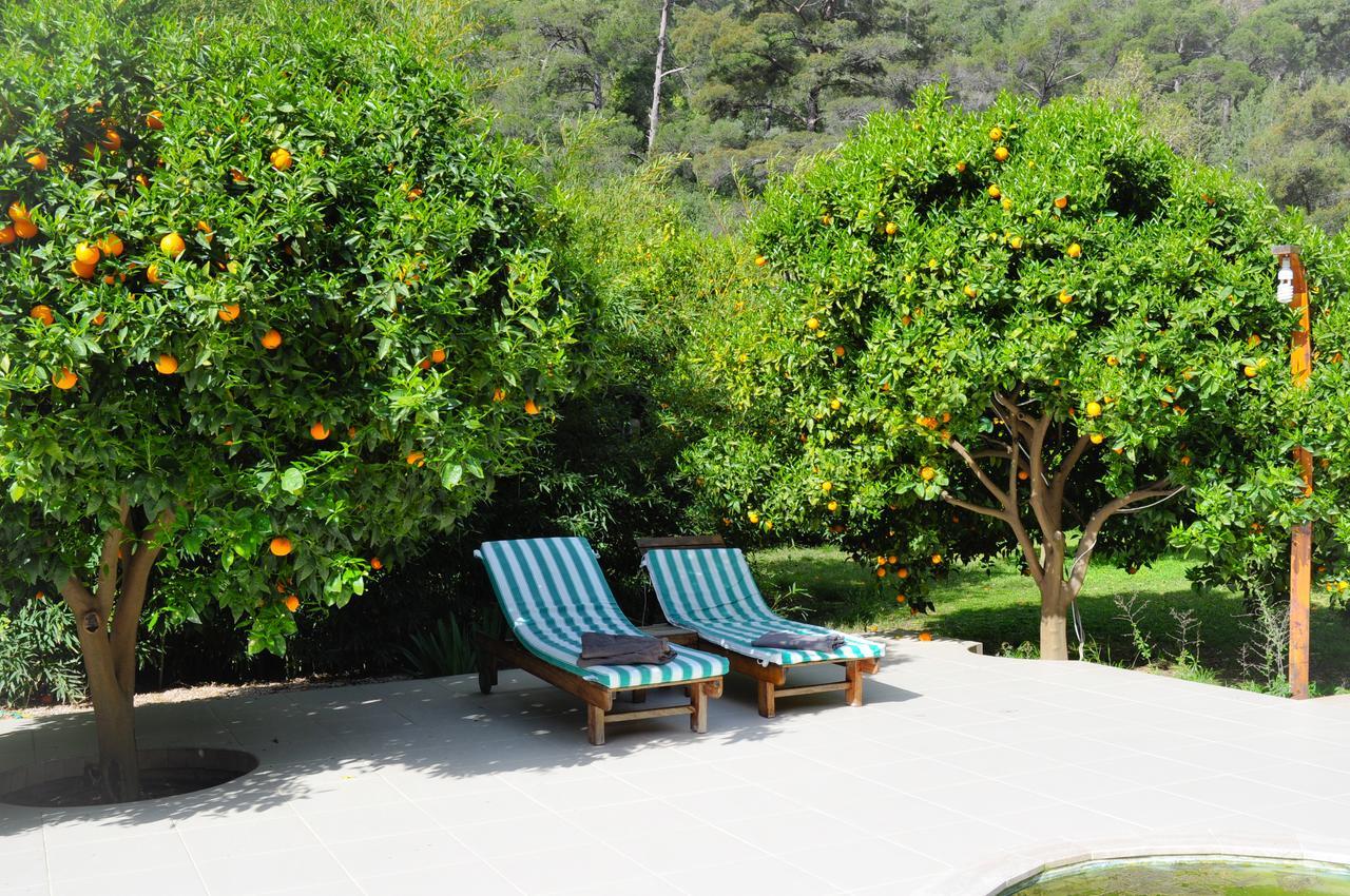 Arcadia Villa *