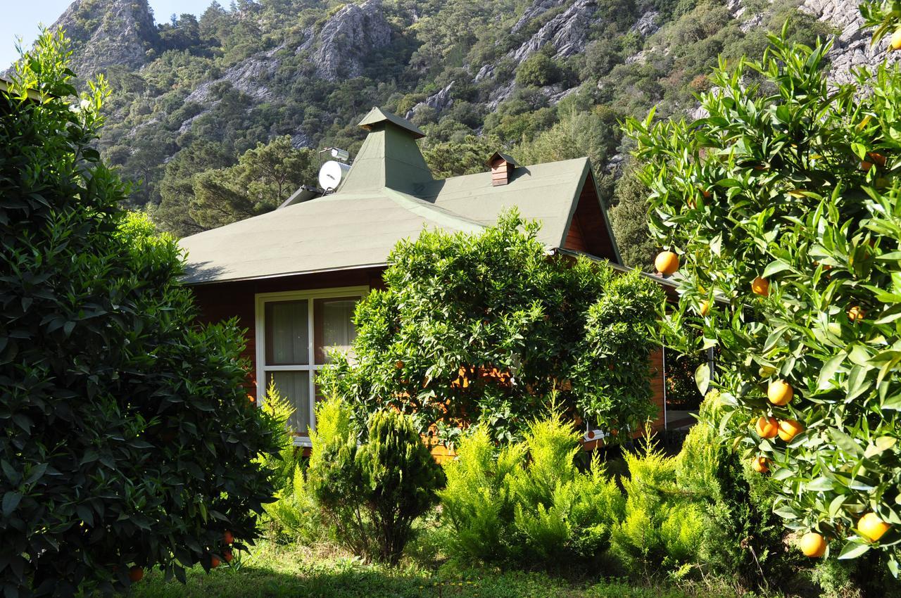 Villa Arcadia Cirali