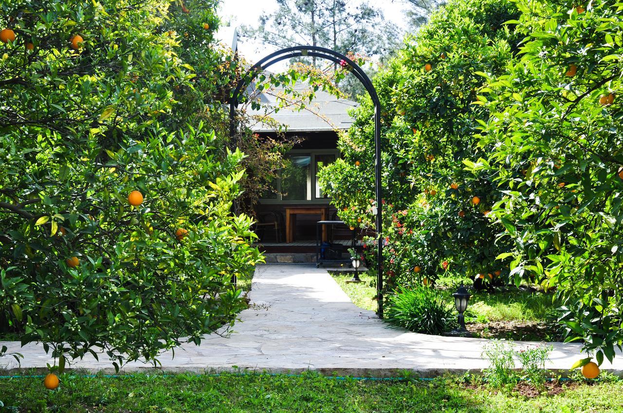 Villa Arcadia Cirali
