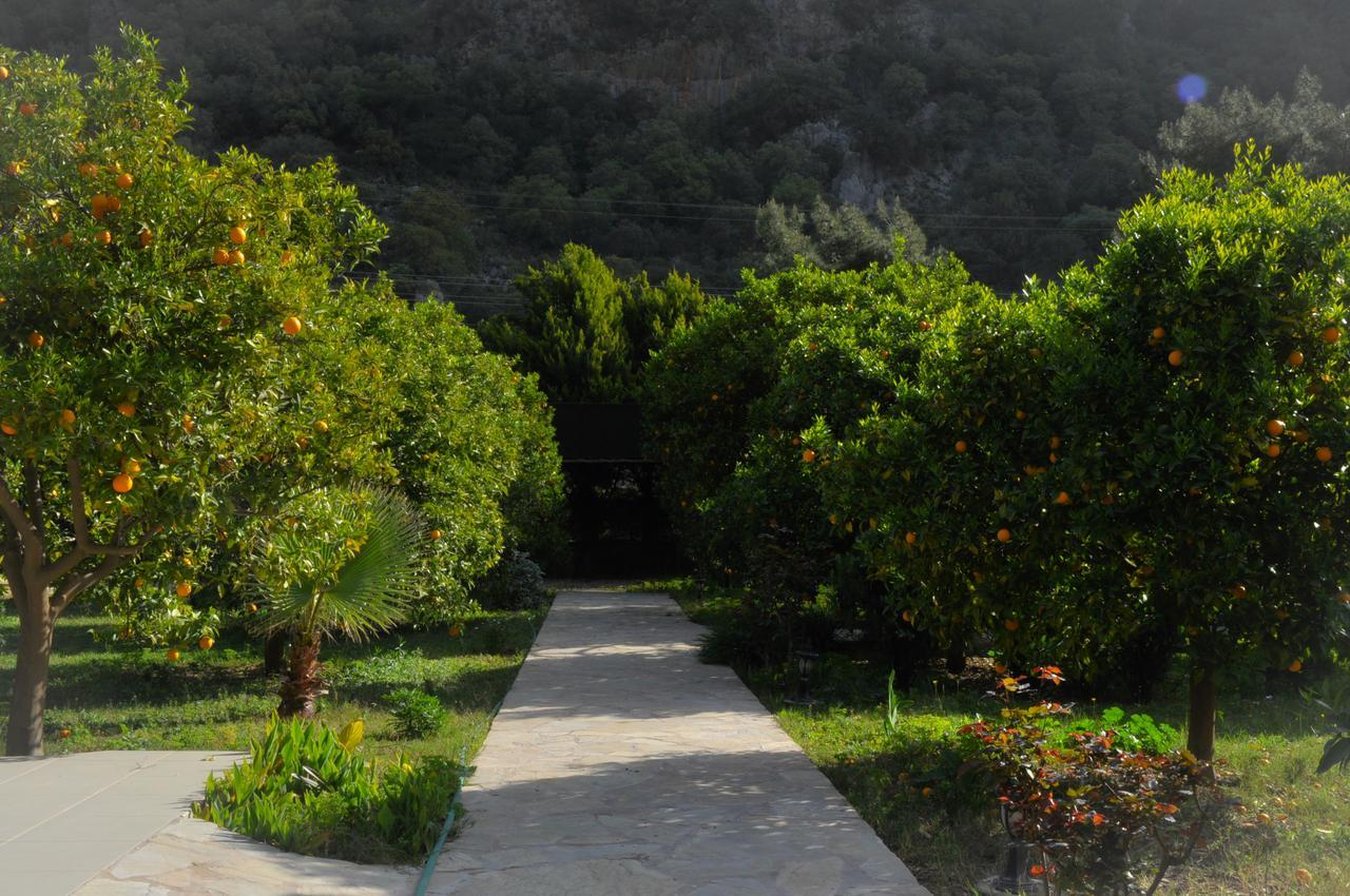 Villa Arcadia *