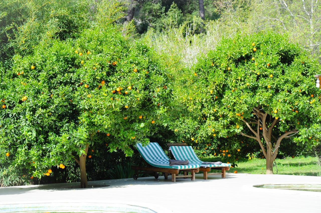 Arcadia Villa Cirali