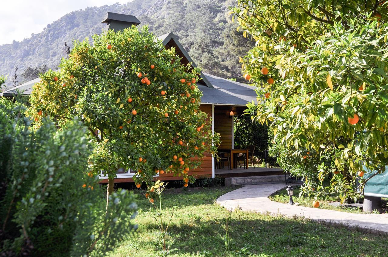 Arcadia Villa *